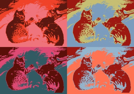 new-due-gatti-label1