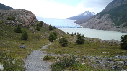 glacier-grey-sighting glacier-grey-sighting