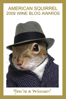 american-squirrel-blog-award-header3 american-squirrel-blog-award-header3