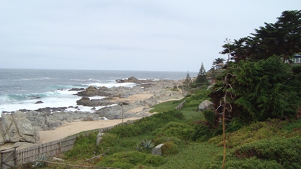 Beach at Isla Negra