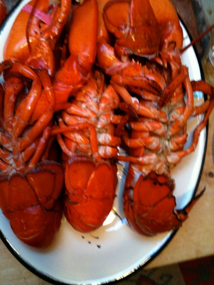Lobster