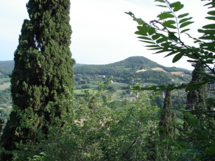 Montepulciano