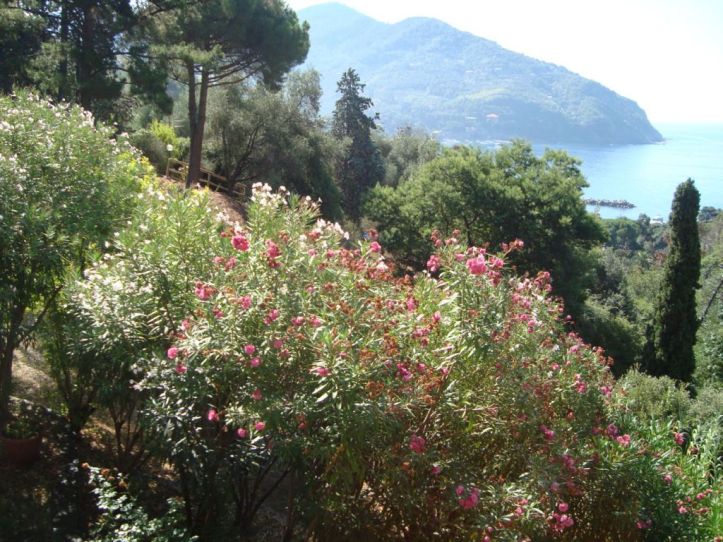 Liguria