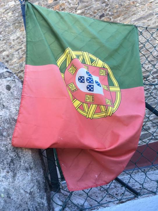 14520590_1493433320670542_1140459814859634922_n