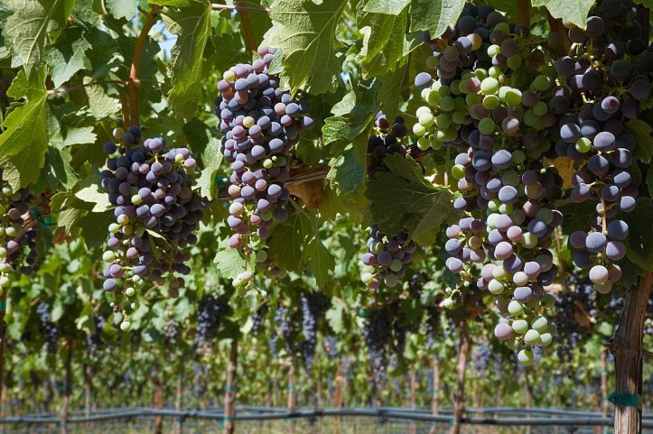 tvdangelsclusters300dpi