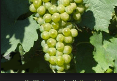 Screen Shot 2018-05-18 at 6.51.34 PM