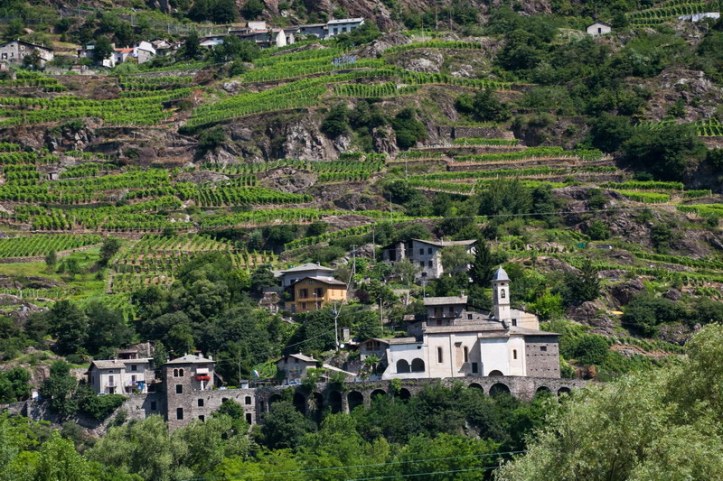 Vigneto Sassella Sommarovina