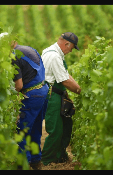 Screen Shot 2019-04-20 at 8.41.41 AM