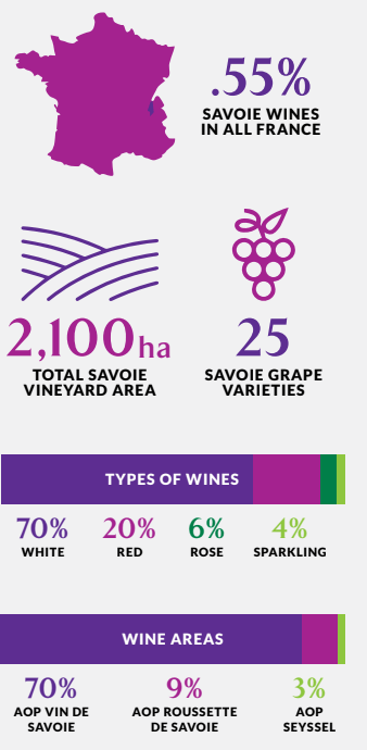 Screen Shot 2020-02-08 at 8.37.42 AM