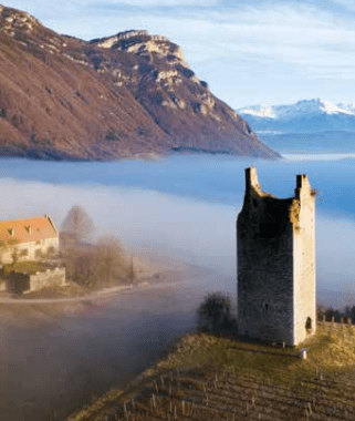 Screen Shot 2020-02-08 at 8.51.59 AM