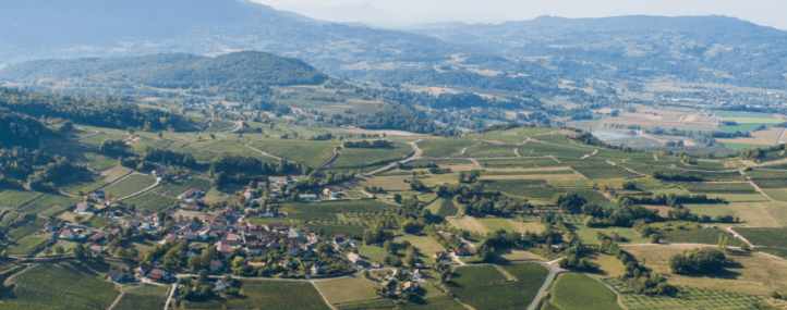 Screen Shot 2020-02-08 at 9.11.39 AM