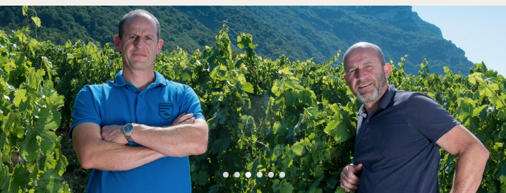 Screen Shot 2020-02-08 at 9.28.31 AM