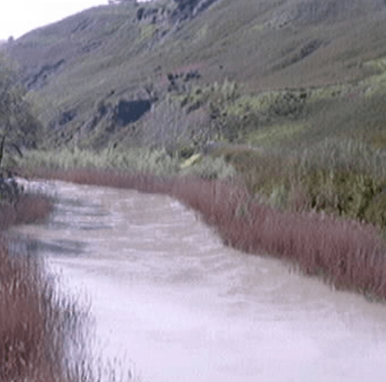 Screen Shot 2020-02-10 at 8.40.46 PM