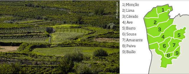 Screen Shot 2020-08-22 at 9.19.58 PM